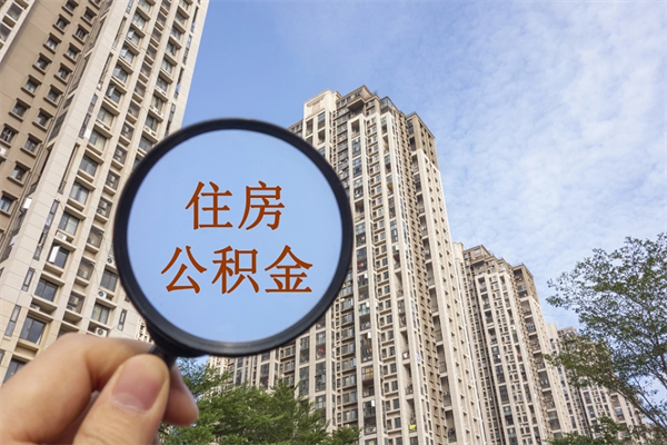 招远离职可以取出公积金吗（离职可以取公积金嘛）